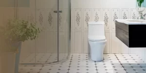 Premium sanitaryware